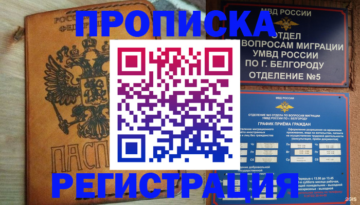 прописка для работы в Пионерском